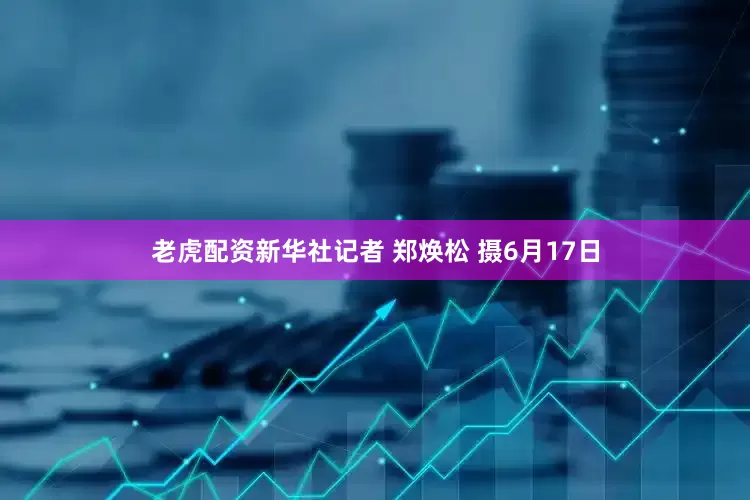 老虎配资新华社记者 郑焕松 摄6月17日