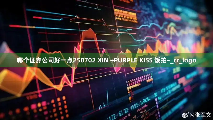哪个证券公司好一点250702 XIN +PURPLE KISS 饭拍~_cr_logo
