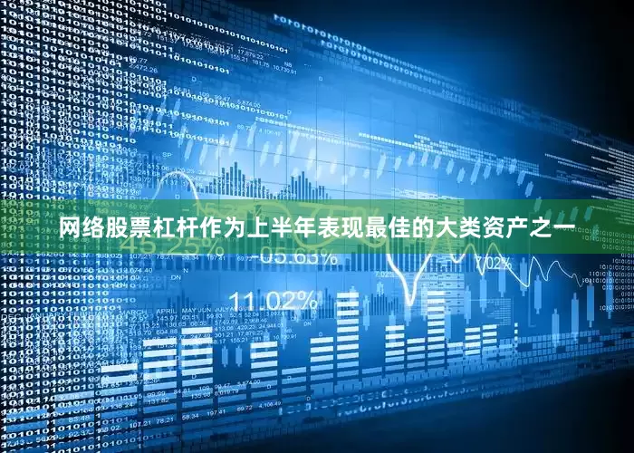 网络股票杠杆作为上半年表现最佳的大类资产之一