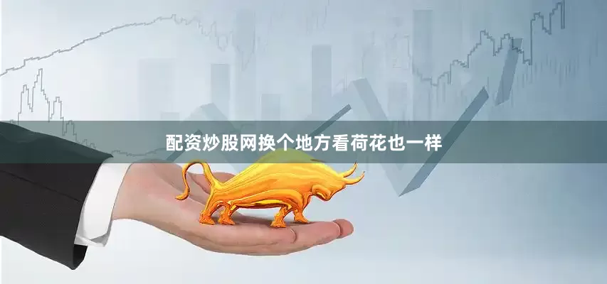 配资炒股网换个地方看荷花也一样