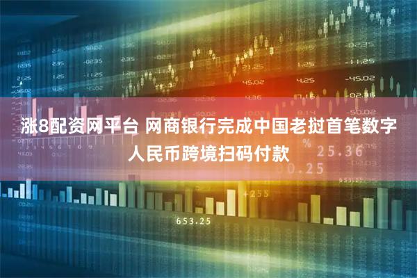 涨8配资网平台 网商银行完成中国老挝首笔数字人民币跨境扫码付款